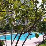 Lejlighed Fmm Estudios Hannibal Benidorm Playa *