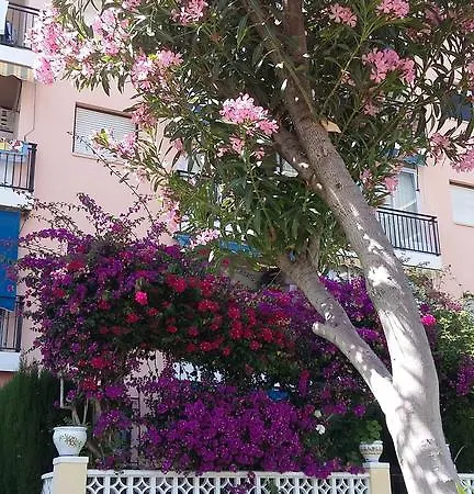Apartmán Fmm Estudios Hannibal Benidorm Playa Cala de Finestrat