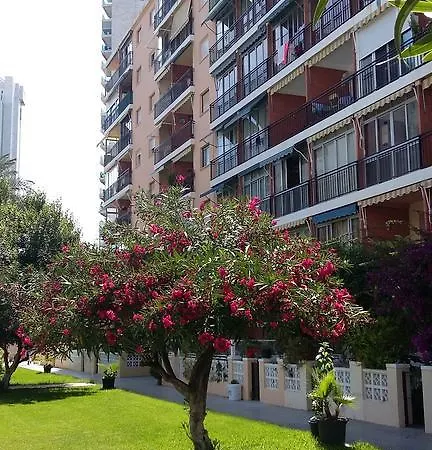 Fmm Estudios Hannibal Benidorm Playa Cala de Finestrat