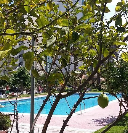 Apartmán Fmm Estudios Hannibal Benidorm Playa *