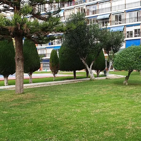 Fmm Estudios Hannibal Benidorm Playa *